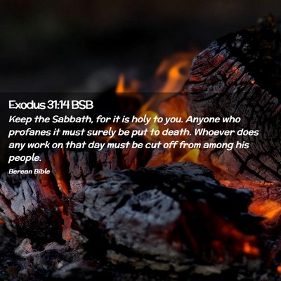 Picture 02 - Exodus 31:14 BSB - Keep the Sabbath, for it is holy to you. Anyone - Bible Verse Picture