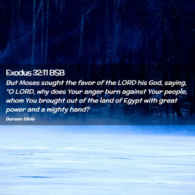 Picture 02 - Exodus 32:11 BSB - But Moses sought the favor of the LORD his God, - Bible Verse Picture