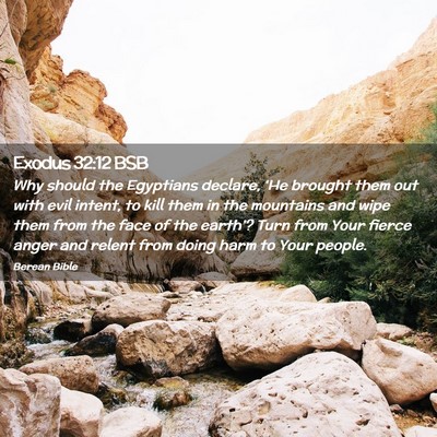 Picture 02 - Exodus 32:12 BSB - Why should the Egyptians declare, ‘He brought - Bible Verse Picture