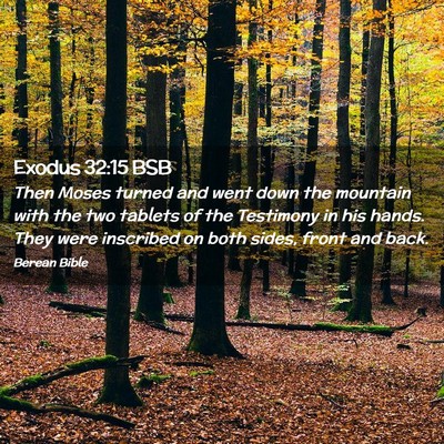 Picture 02 - Exodus 32:15 BSB - Then Moses turned and went down the mountain with - Bible Verse Picture
