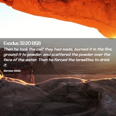 Picture 02 - Exodus 32:20 BSB - Then he took the calf they had made, burned it in - Bible Verse Picture