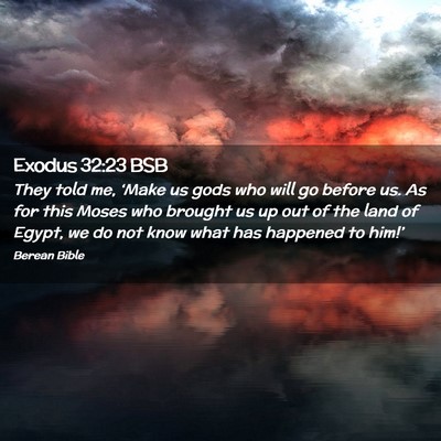 Picture 02 - Exodus 32:23 BSB - They told me, ‘Make us gods who will go before - Bible Verse Picture