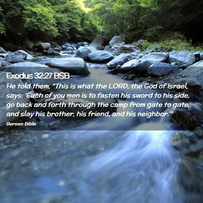 Picture 02 - Exodus 32:27 BSB - He told them, “This is what the LORD, the God - Bible Verse Picture