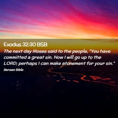 Picture 02 - Exodus 32:30 BSB - The next day Moses said to the people, “You - Bible Verse Picture