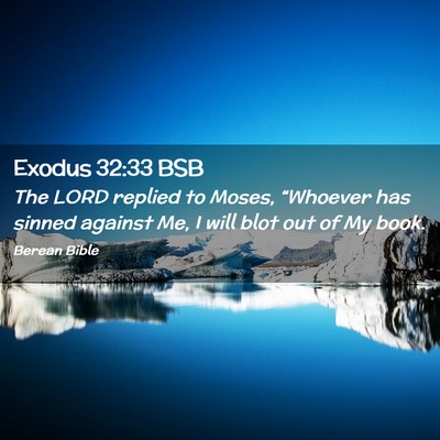 Picture 02 - Exodus 32:33 BSB - The LORD replied to Moses, “Whoever has sinned - Bible Verse Picture