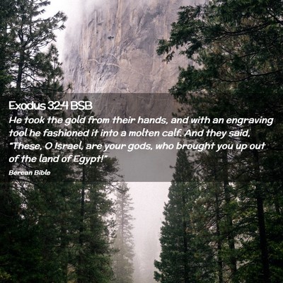 Picture 02 - Exodus 32:4 BSB - He took the gold from their hands, and with an - Bible Verse Picture