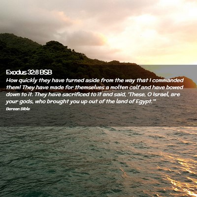 Picture 02 - Exodus 32:8 BSB - How quickly they have turned aside from the way - Bible Verse Picture