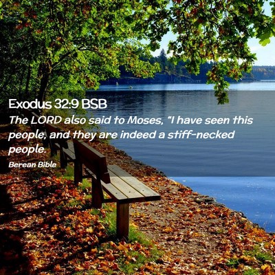 Picture 02 - Exodus 32:9 BSB - The LORD also said to Moses, “I have seen this - Bible Verse Picture