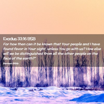Picture 02 - Exodus 33:16 BSB - For how then can it be known that Your people and - Bible Verse Picture