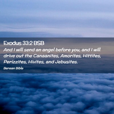 Picture 02 - Exodus 33:2 BSB - And I will send an angel before you, and I will - Bible Verse Picture
