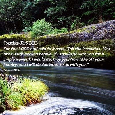 Picture 02 - Exodus 33:5 BSB - For the LORD had said to Moses, “Tell the - Bible Verse Picture