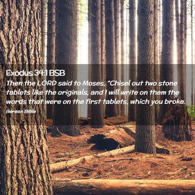 Picture 02 - Exodus 34:1 BSB - Then the LORD said to Moses, “Chisel out two - Bible Verse Picture
