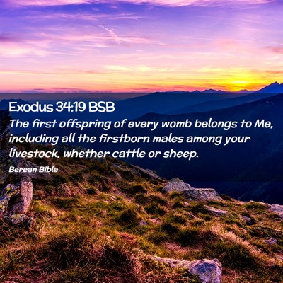 Picture 02 - Exodus 34:19 BSB - The first offspring of every womb belongs to Me, - Bible Verse Picture