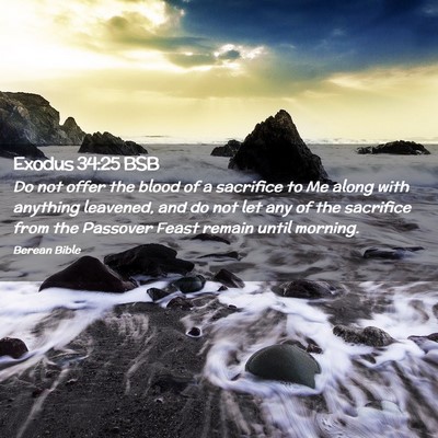 Picture 02 - Exodus 34:25 BSB - Do not offer the blood of a sacrifice to Me along - Bible Verse Picture