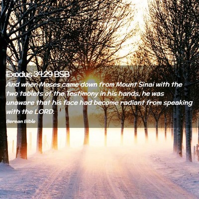 Picture 02 - Exodus 34:29 BSB - And when Moses came down from Mount Sinai with - Bible Verse Picture