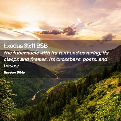 Picture 02 - Exodus 35:11 BSB - the tabernacle with its tent and covering, its - Bible Verse Picture
