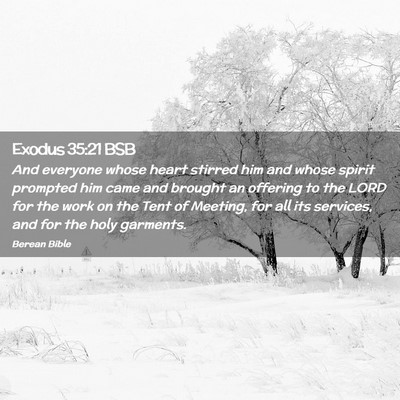 Picture 02 - Exodus 35:21 BSB - And everyone whose heart stirred him and whose - Bible Verse Picture