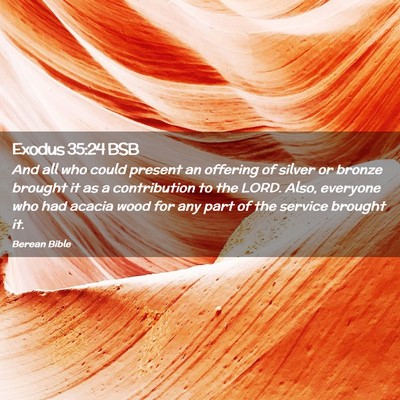 Picture 02 - Exodus 35:24 BSB - And all who could present an offering of silver - Bible Verse Picture