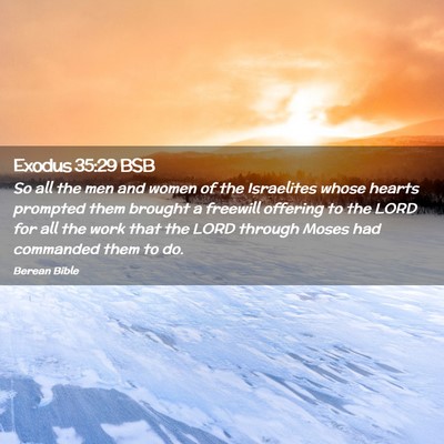 Picture 02 - Exodus 35:29 BSB - So all the men and women of the Israelites whose - Bible Verse Picture