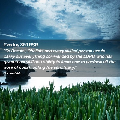 Picture 02 - Exodus 36:1 BSB - “So Bezalel, Oholiab, and every skilled person - Bible Verse Picture