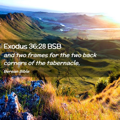 Picture 02 - Exodus 36:28 BSB - and two frames for the two back corners of the - Bible Verse Picture