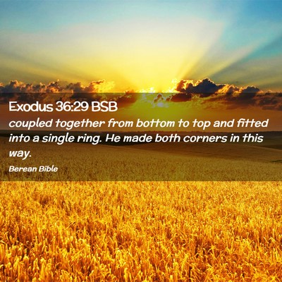 Picture 02 - Exodus 36:29 BSB - coupled together from bottom to top and fitted - Bible Verse Picture