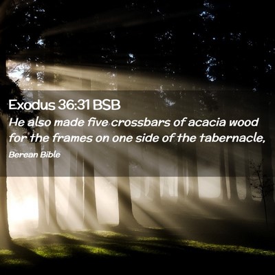 Picture 02 - Exodus 36:31 BSB - He also made five crossbars of acacia wood for - Bible Verse Picture