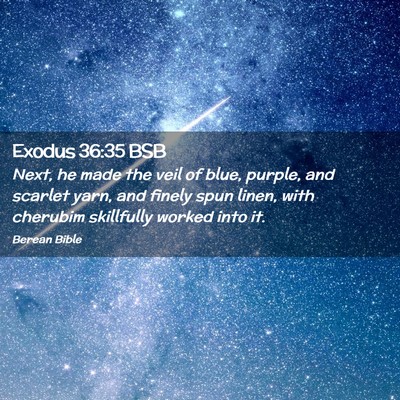 Picture 02 - Exodus 36:35 BSB - Next, he made the veil of blue, purple, and - Bible Verse Picture
