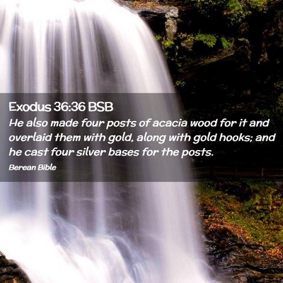 Picture 02 - Exodus 36:36 BSB - He also made four posts of acacia wood for it and - Bible Verse Picture