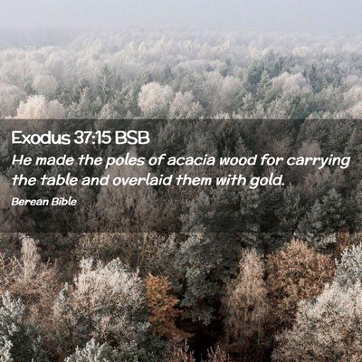 Picture 02 - Exodus 37:15 BSB - He made the poles of acacia wood for carrying the - Bible Verse Picture