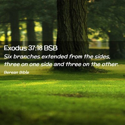 Picture 02 - Exodus 37:18 BSB - Six branches extended from the sides, three on - Bible Verse Picture