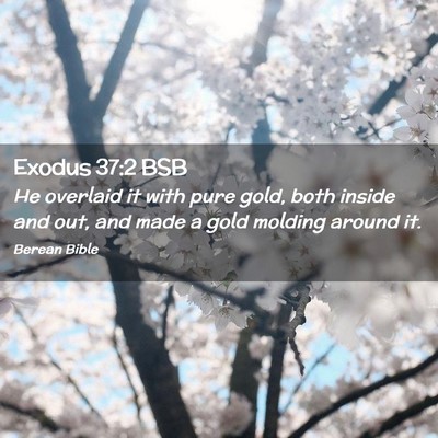 Picture 02 - Exodus 37:2 BSB - He overlaid it with pure gold, both inside and - Bible Verse Picture