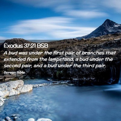 Picture 02 - Exodus 37:21 BSB - A bud was under the first pair of branches that - Bible Verse Picture