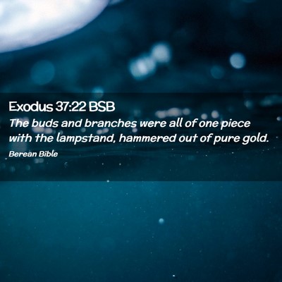 Picture 02 - Exodus 37:22 BSB - The buds and branches were all of one piece with - Bible Verse Picture