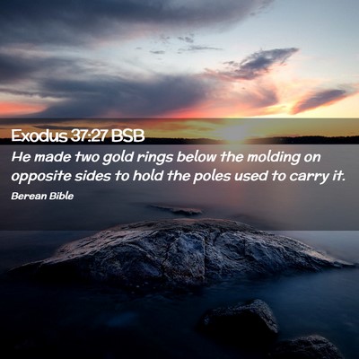 Picture 02 - Exodus 37:27 BSB - He made two gold rings below the molding on - Bible Verse Picture