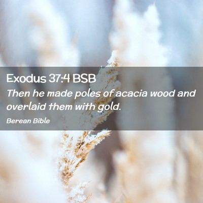 Picture 02 - Exodus 37:4 BSB - Then he made poles of acacia wood and overlaid - Bible Verse Picture