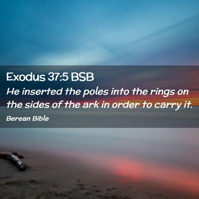 Picture 02 - Exodus 37:5 BSB - He inserted the poles into the rings on the sides - Bible Verse Picture