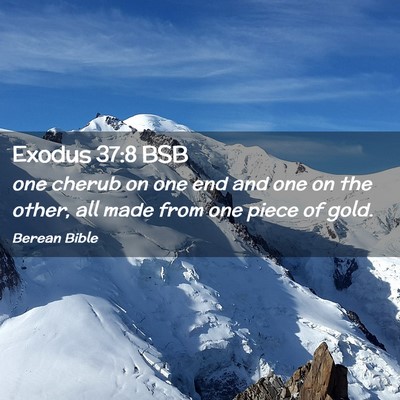 Picture 02 - Exodus 37:8 BSB - one cherub on one end and one on the other, all - Bible Verse Picture