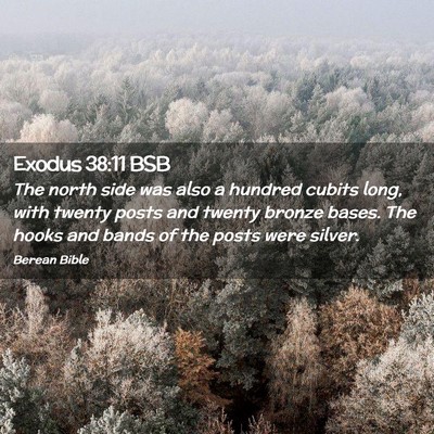 Picture 02 - Exodus 38:11 BSB - The north side was also a hundred cubits long, - Bible Verse Picture