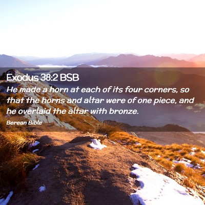 Picture 02 - Exodus 38:2 BSB - He made a horn at each of its four corners, so - Bible Verse Picture