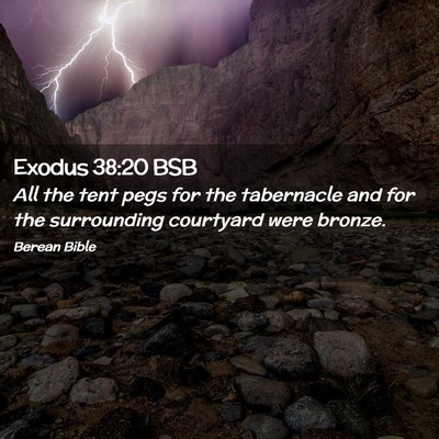 Picture 02 - Exodus 38:20 BSB - All the tent pegs for the tabernacle and for the - Bible Verse Picture