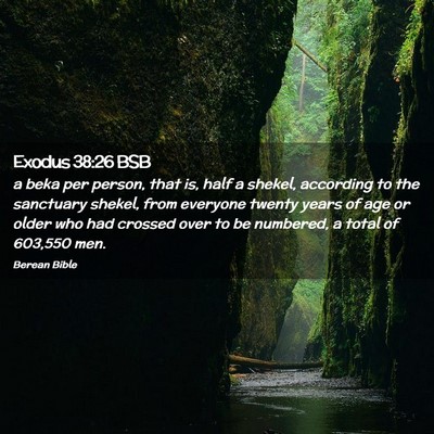 Picture 02 - Exodus 38:26 BSB - a beka per person, that is, half a shekel, - Bible Verse Picture