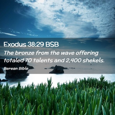 Picture 02 - Exodus 38:29 BSB - The bronze from the wave offering totaled 70 - Bible Verse Picture