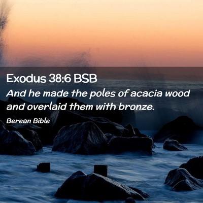 Picture 02 - Exodus 38:6 BSB - And he made the poles of acacia wood and overlaid - Bible Verse Picture