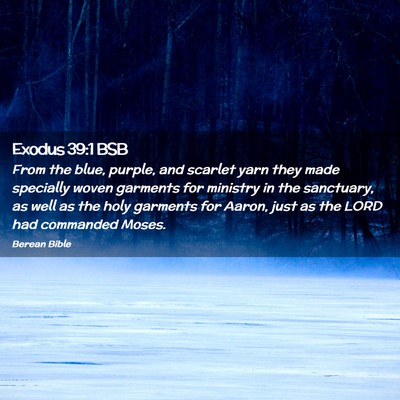 Picture 02 - Exodus 39:1 BSB - From the blue, purple, and scarlet yarn they made - Bible Verse Picture