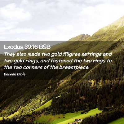 Picture 02 - Exodus 39:16 BSB - They also made two gold filigree settings and two - Bible Verse Picture