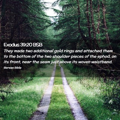 Picture 02 - Exodus 39:20 BSB - They made two additional gold rings and attached - Bible Verse Picture