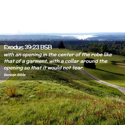 Picture 02 - Exodus 39:23 BSB - with an opening in the center of the robe like - Bible Verse Picture