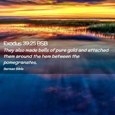 Picture 02 - Exodus 39:25 BSB - They also made bells of pure gold and attached - Bible Verse Picture