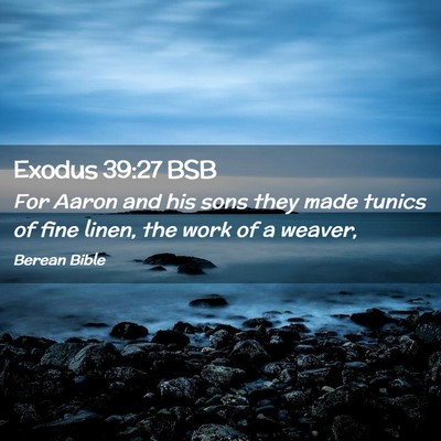 Picture 02 - Exodus 39:27 BSB - For Aaron and his sons they made tunics of fine - Bible Verse Picture